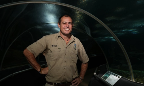 Matt Lamb in the aquarium