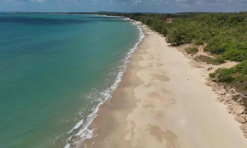 Wallaby Beach 