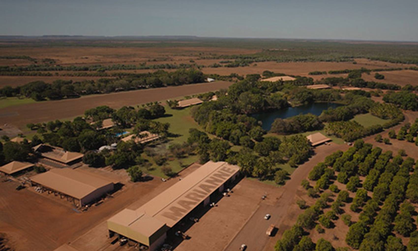 Aerial view of farmland with buildings, trees, and a small body of water.
