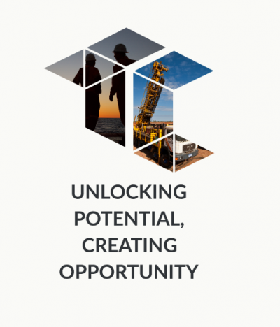 Territory Coordinator logo