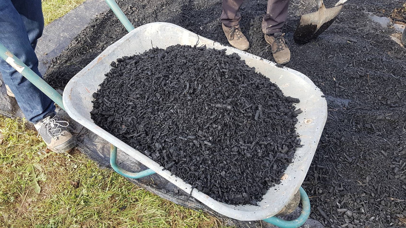 A wheelbarrow filled with black mulch or compost on grass and tarp.