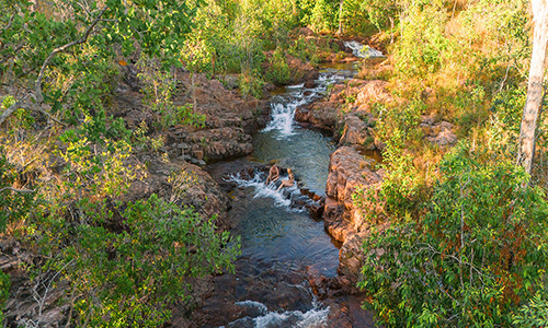 Buley Rockholes